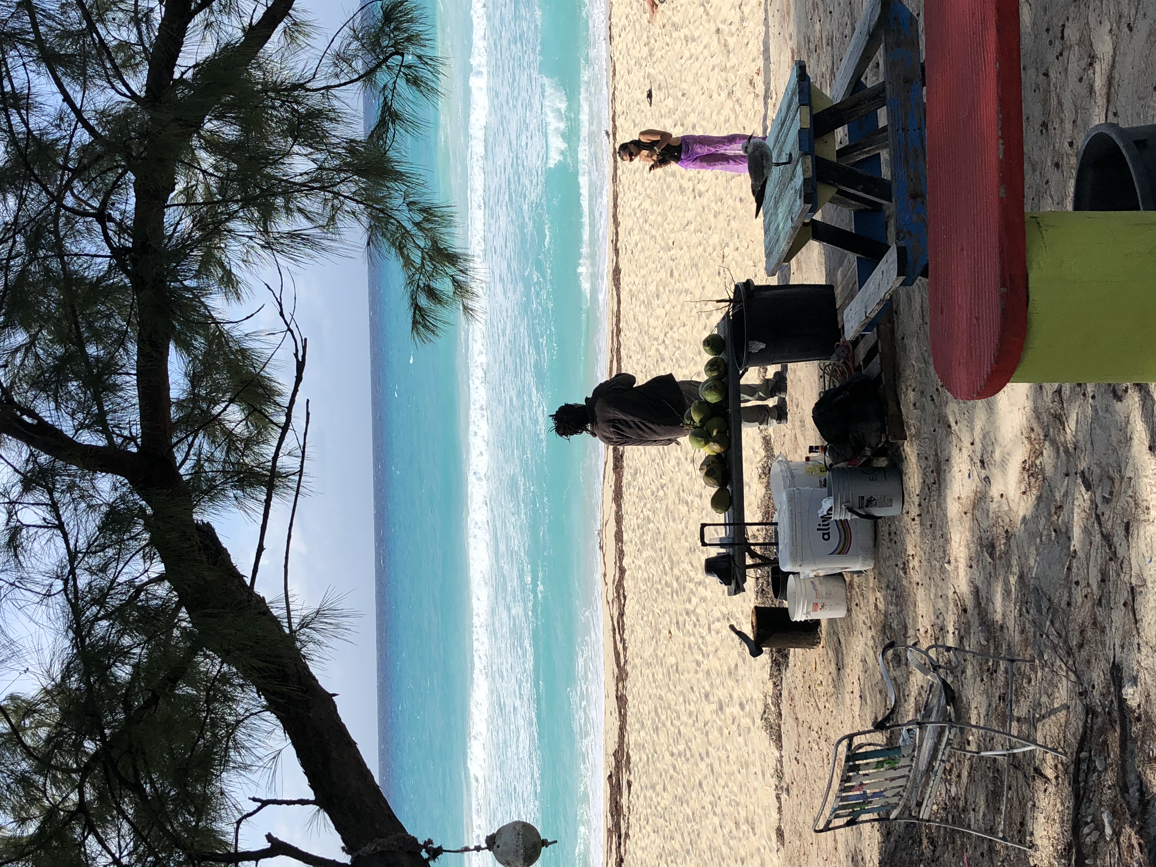 Colorful beach bar and turquoise waters on the white sand beach of Bimini Bahamas